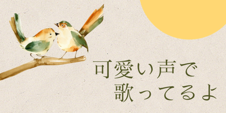cook 今日なに作ろ？
